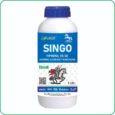 SINGO SINGO