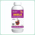 AKELA AKELA