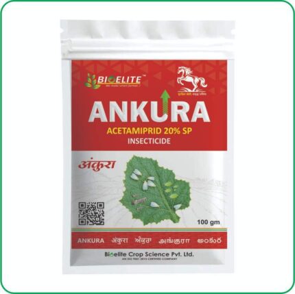 Ankura