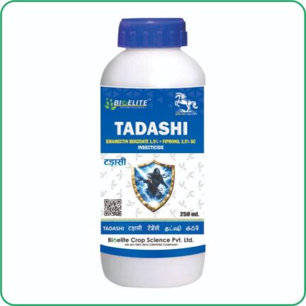 Tadashi