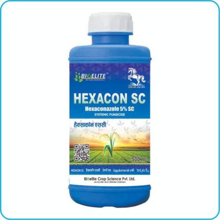 Hexacon SC