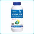 ZOSTAR TOP ZOSTAR TOP