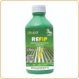 REFIP REFIP