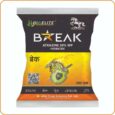 BREAK BREAK