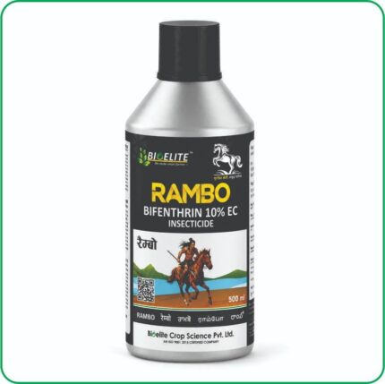 RAMBO
