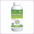 PLANT PULSE PLANT PULSE