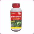SHAMSHERA SHAMSHERA