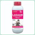 LAGAAM LAGAAM