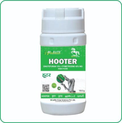 HOOTER