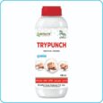 TRYPUNCH TRYPUNCH